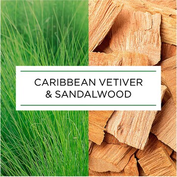Botanica Auto Air Freshener Refill Caribbean Vetiver & Sandalwood 228mL
