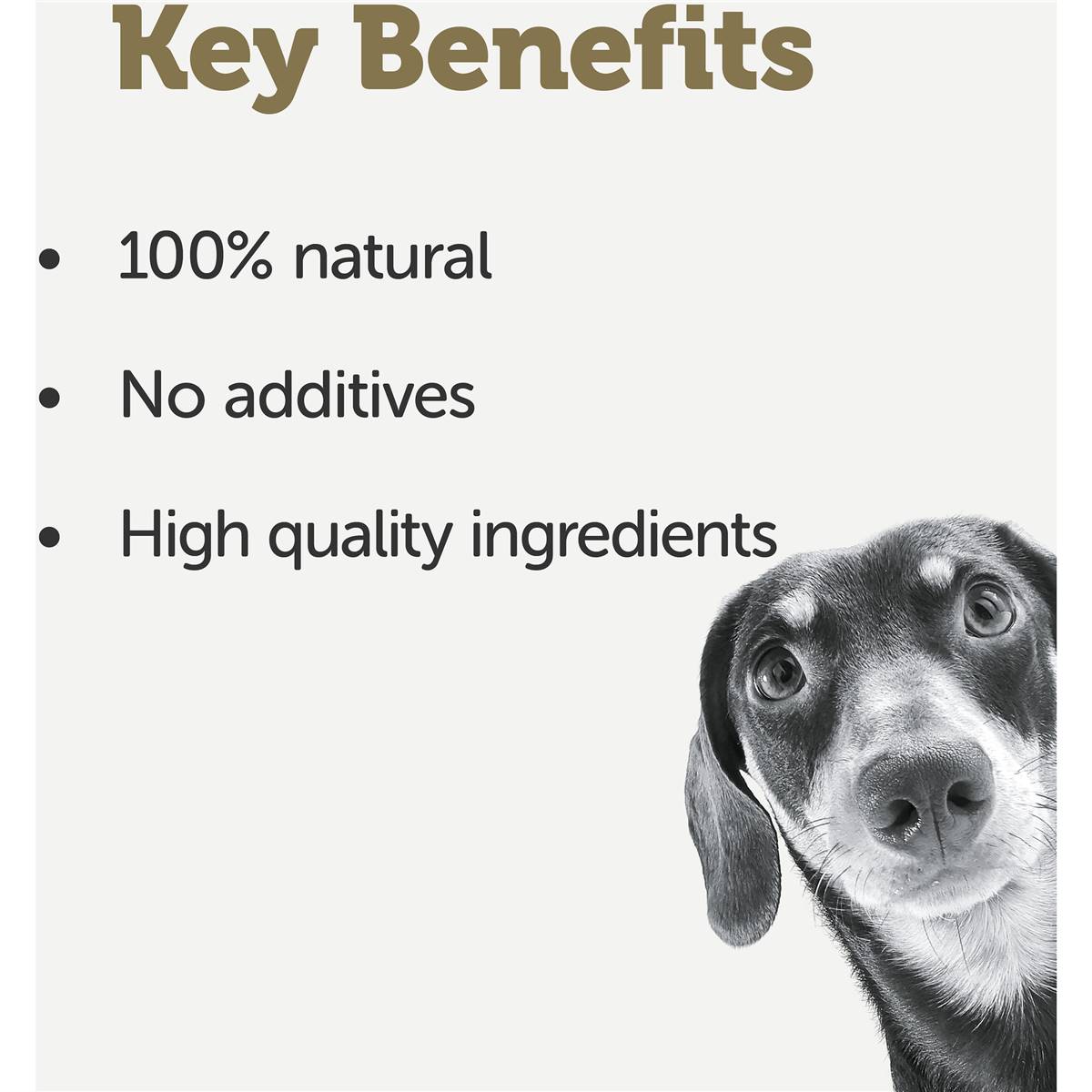 Applaws Taste Toppers Chicken In Broth Wet Dog Food 156g x 5 pack
