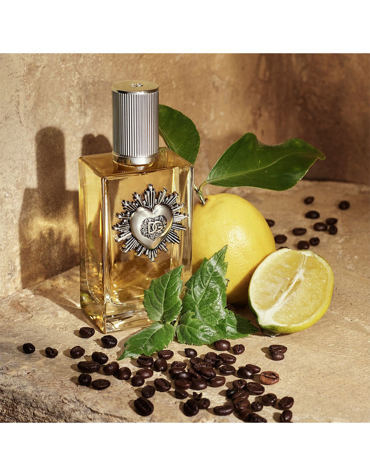 Devotion Male EDP 100ml