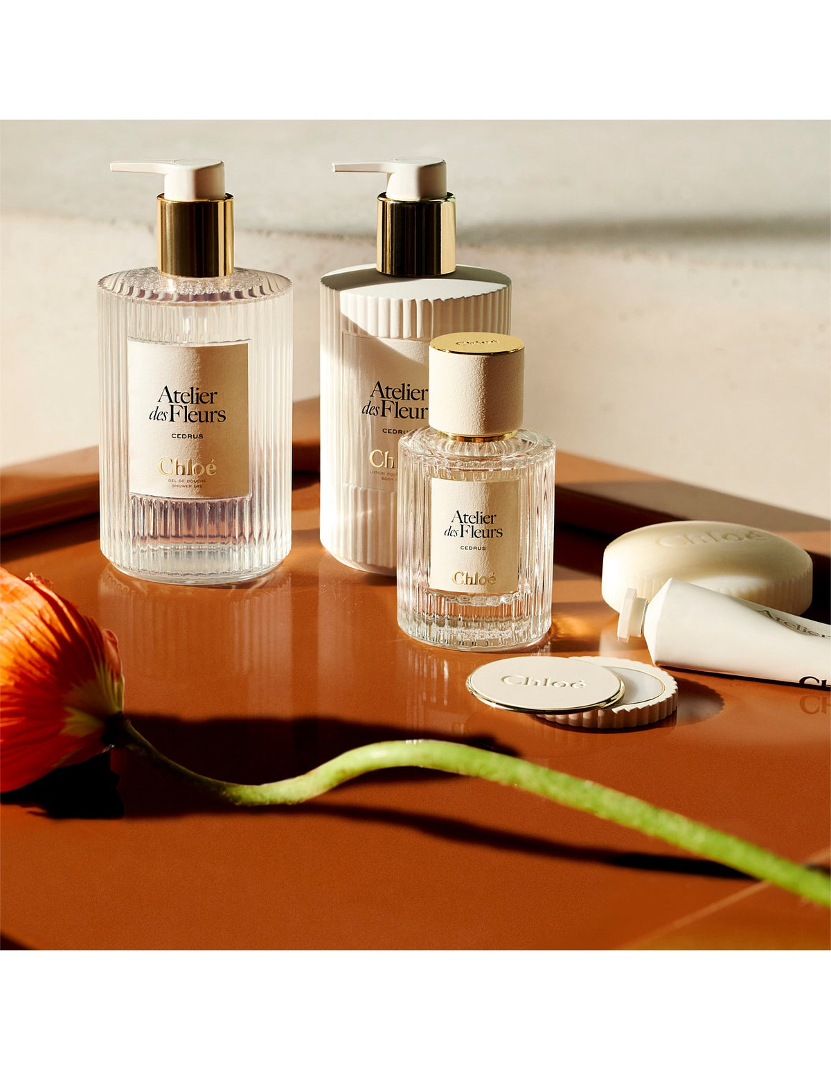 Chloé Atelier Des Fleurs Cedrus Shower Gel 300ml