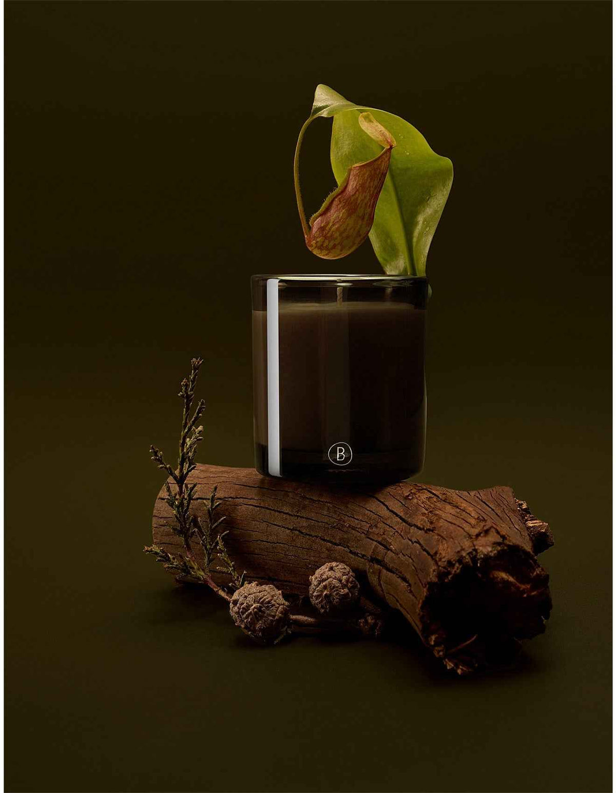 Rainforest Sunlight 200g Soy Wax Scented Candle Green