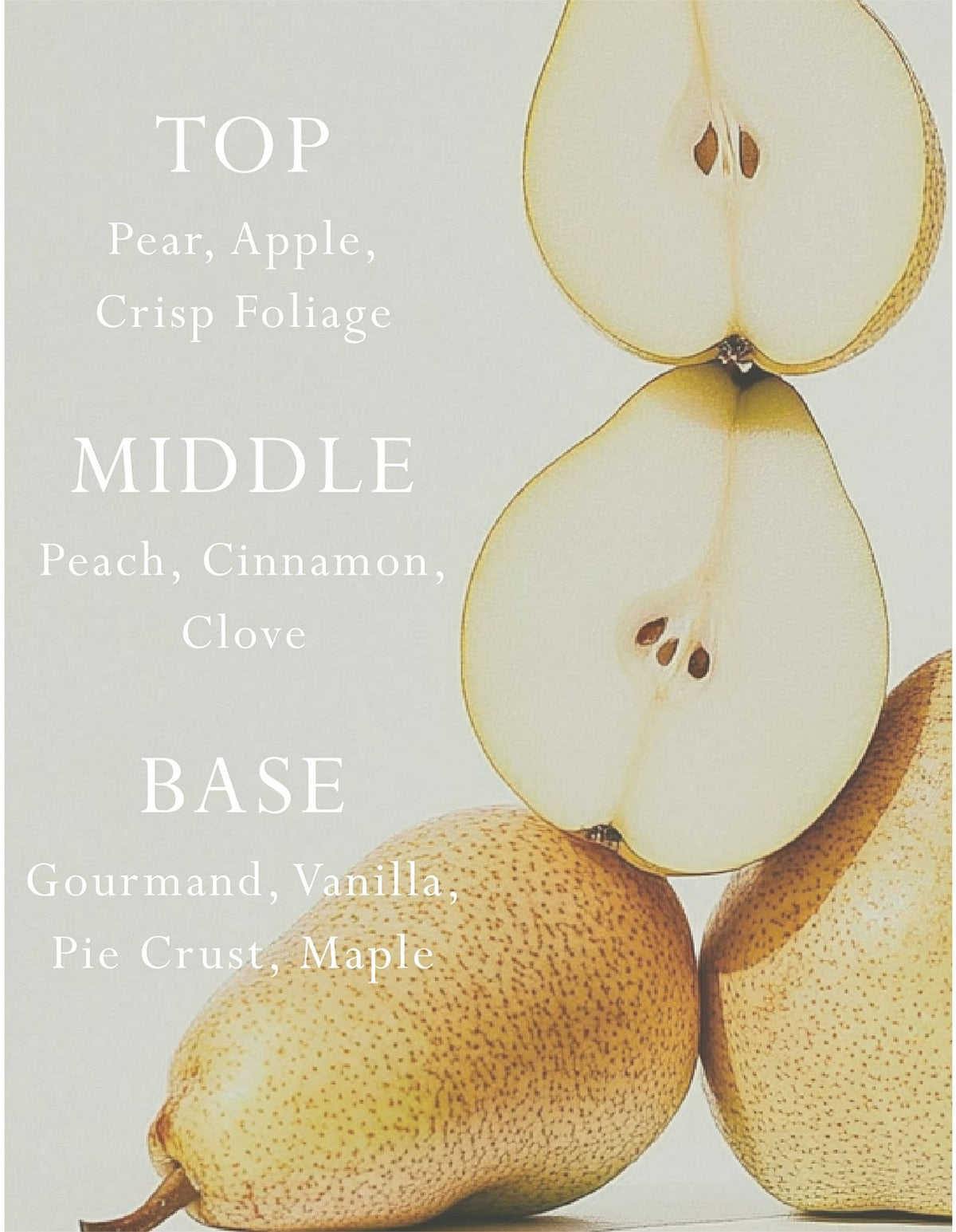 Italian Pear Car Diffuser Refill
