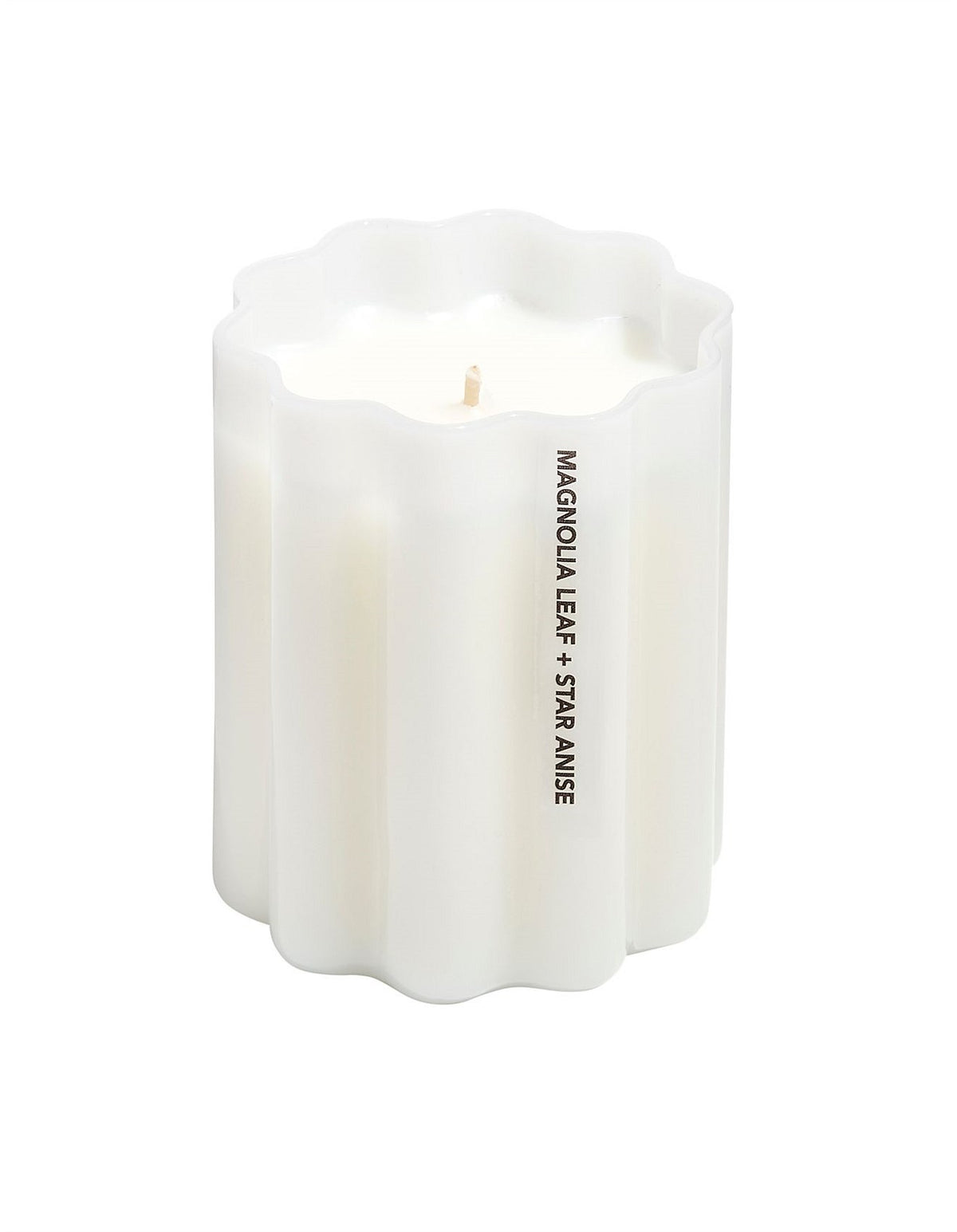 Wave Magnolia Leaf + Star Anise 8cm x 10cm Soy Candle White