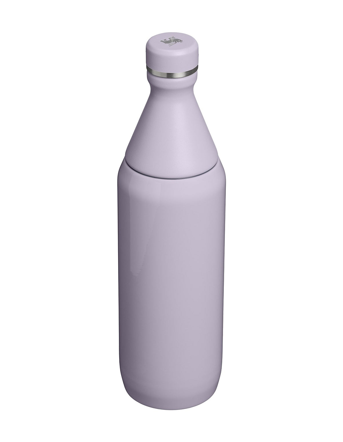 ALL DAY SLIM BOTTLE 20OZ PURPLE DUST GLOSS