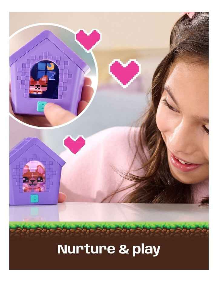 Doghouse Toy