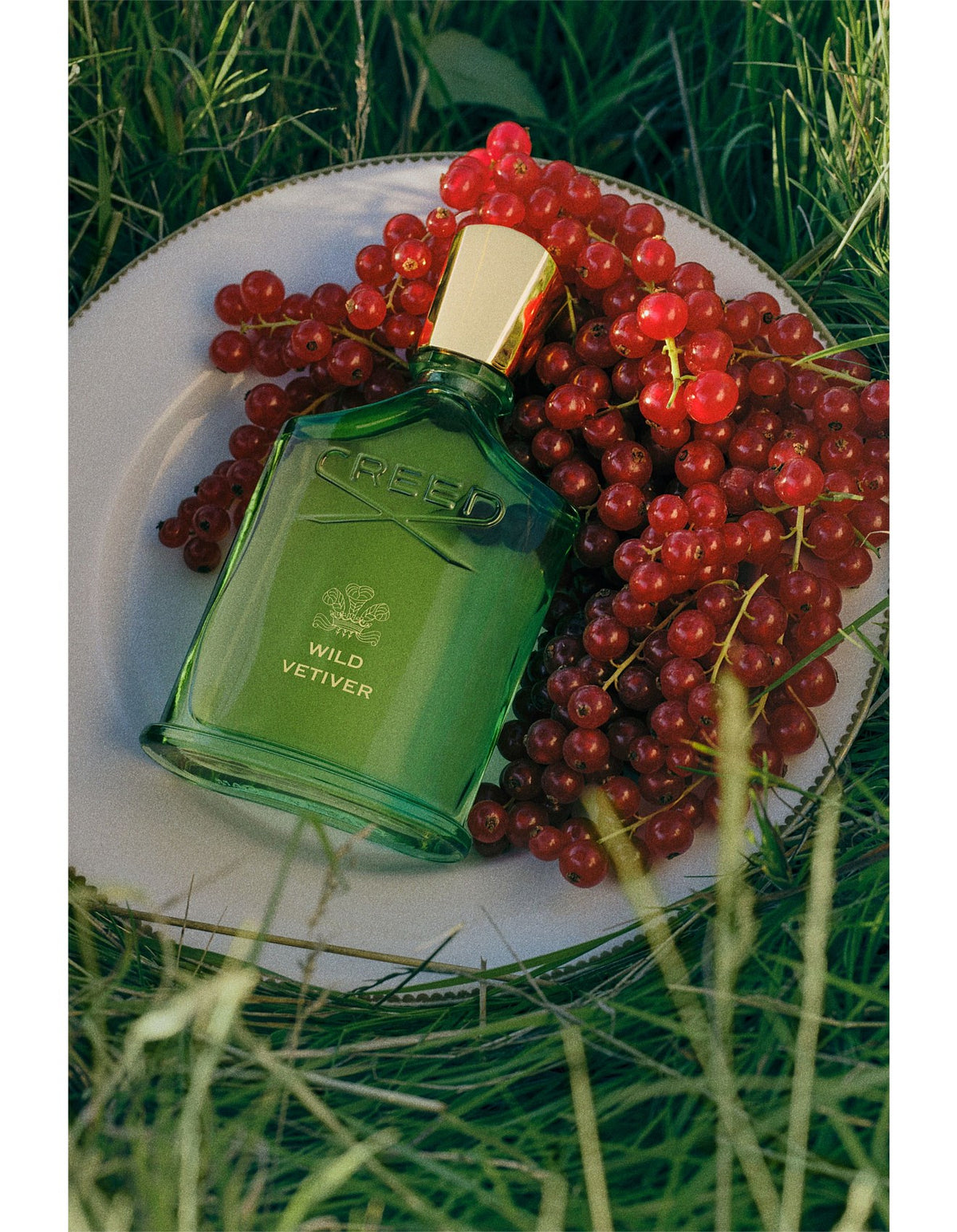 Wild Vetiver 50ml