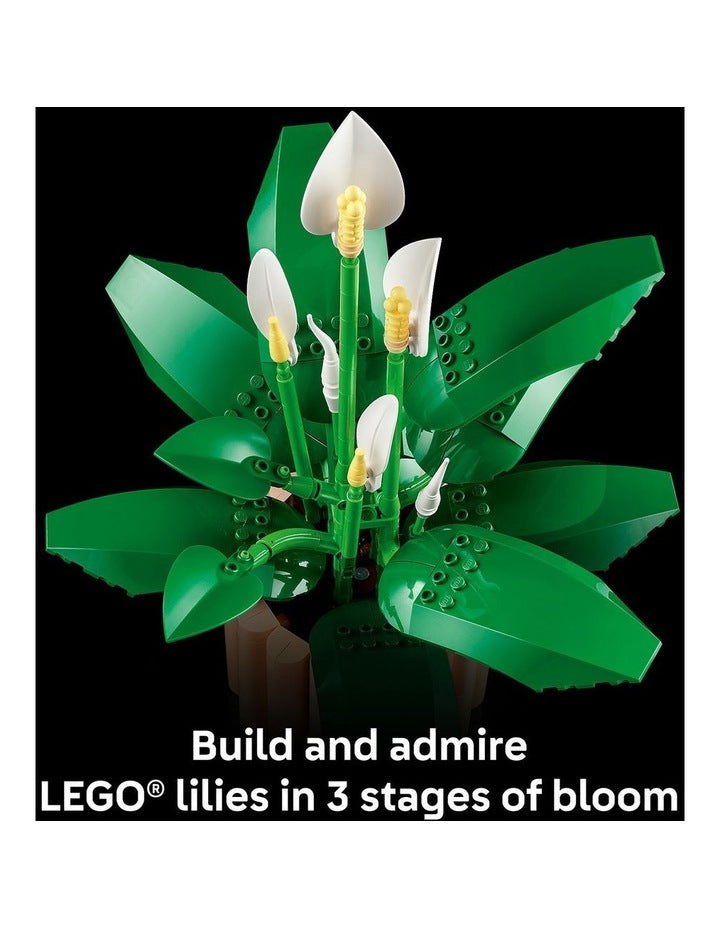 11504 Botanicals Peace Lily