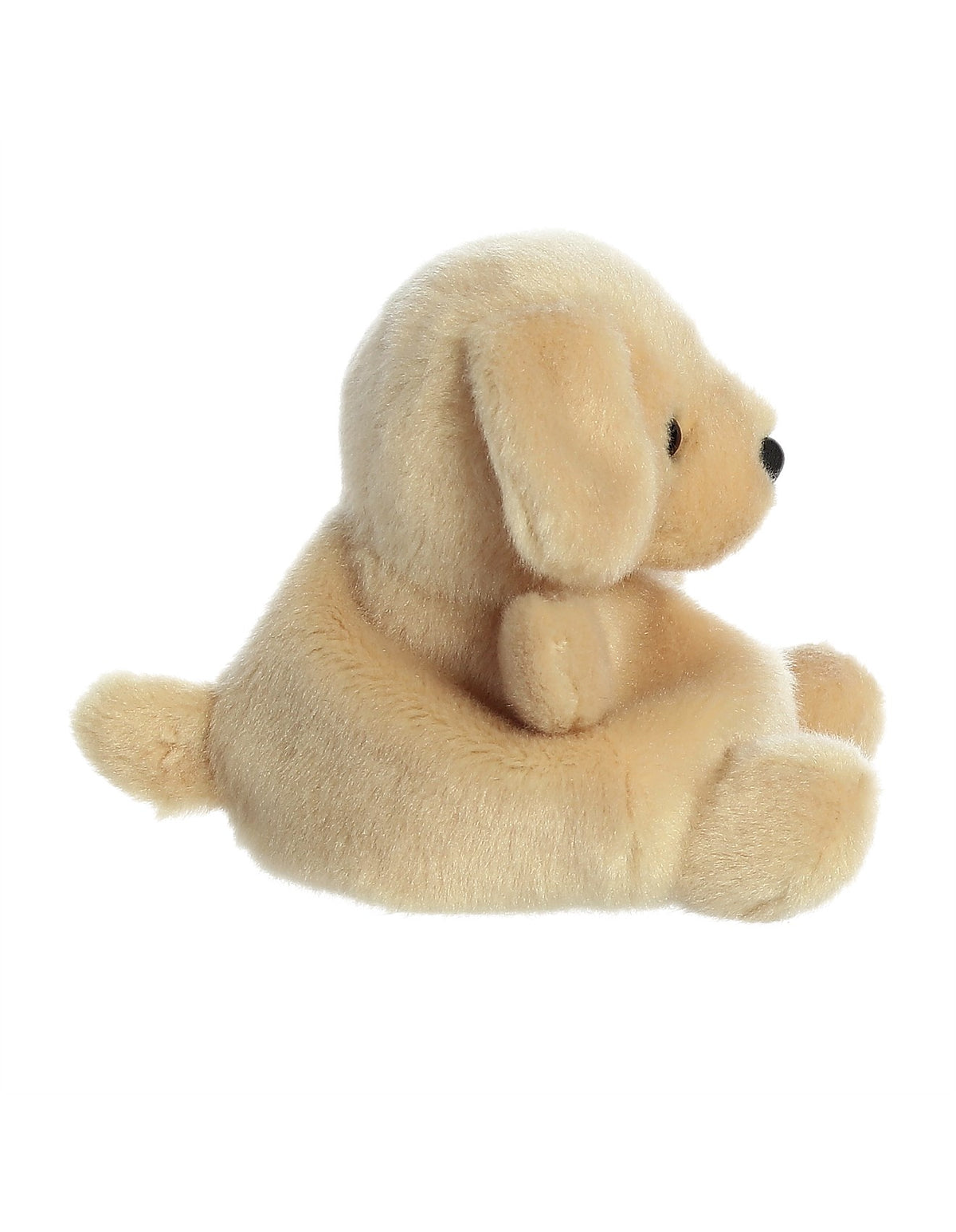 PALM PAL SUNNY LAB