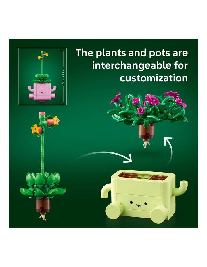 Botanicals Rocking Plants 11506