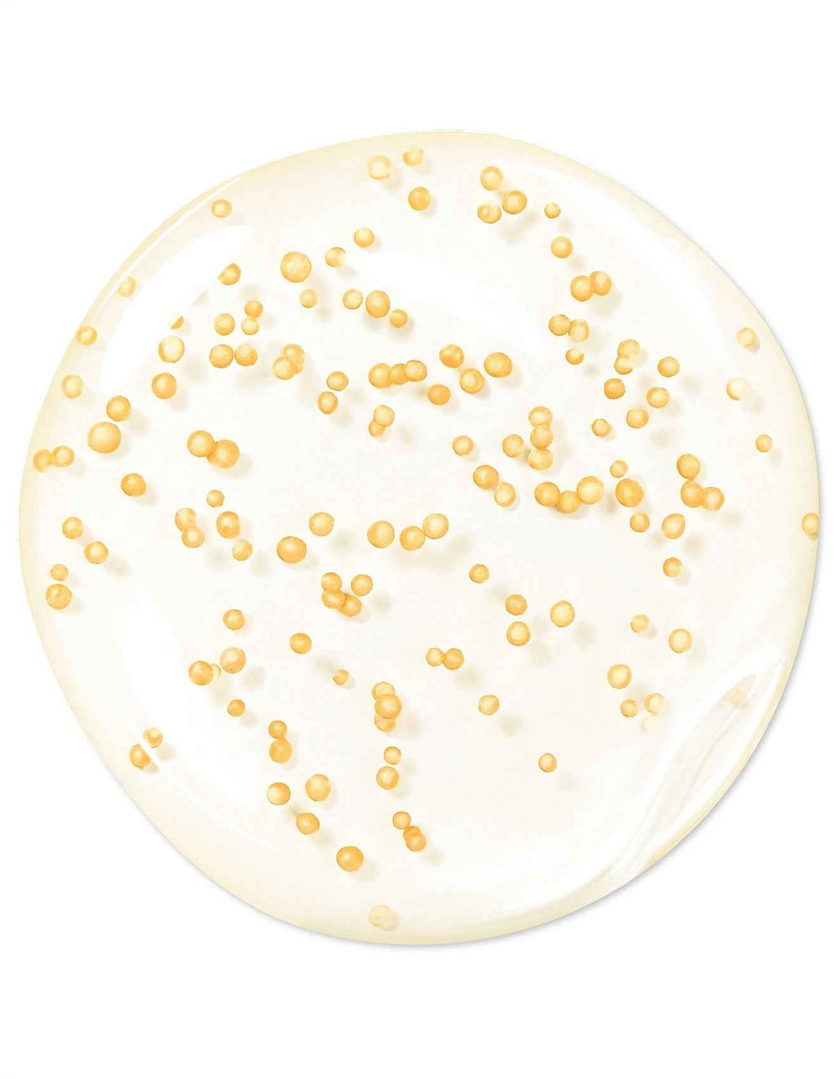 Abeille Royale Youth Watery Serum 100ml