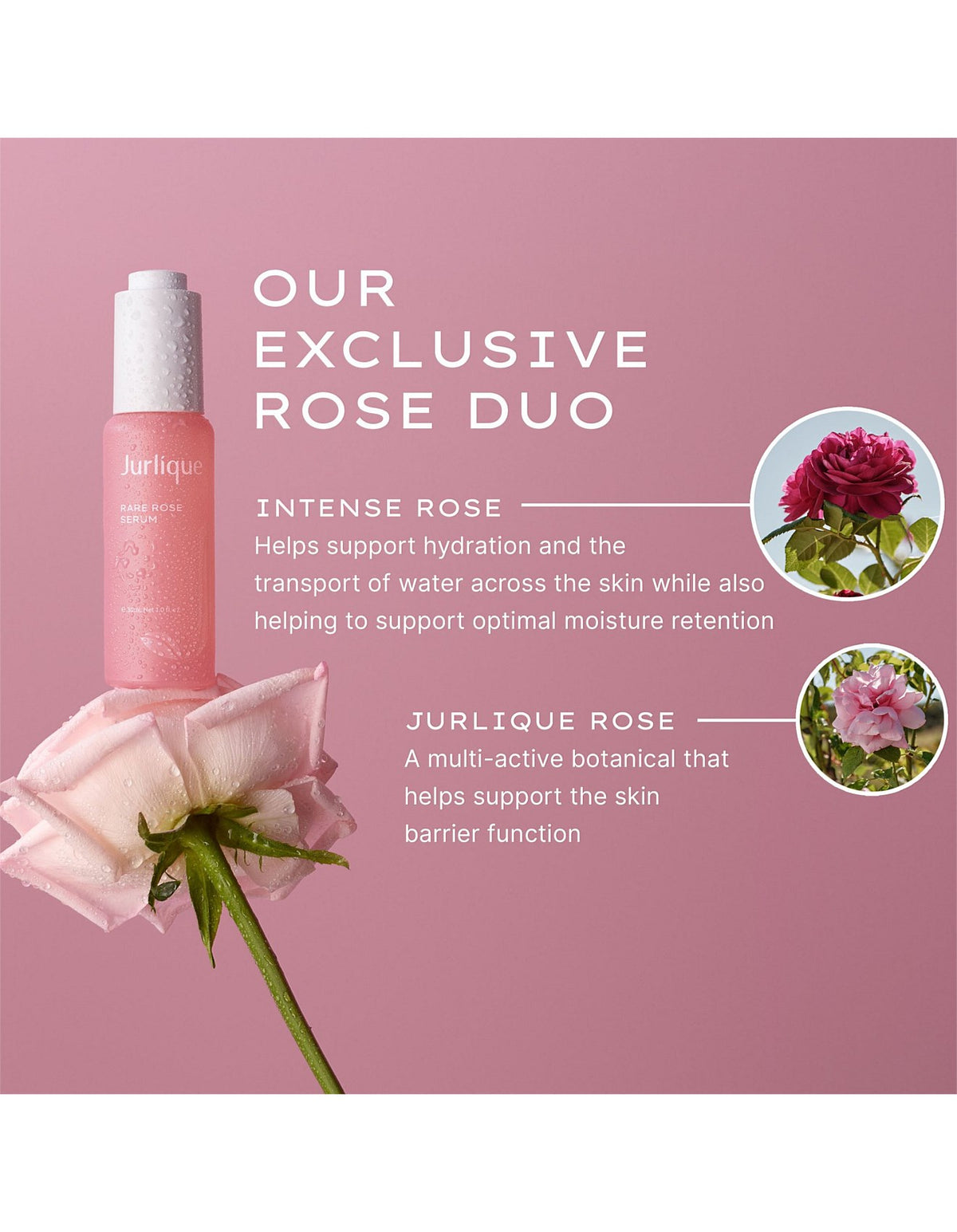 Rare Rose Serum 30ml