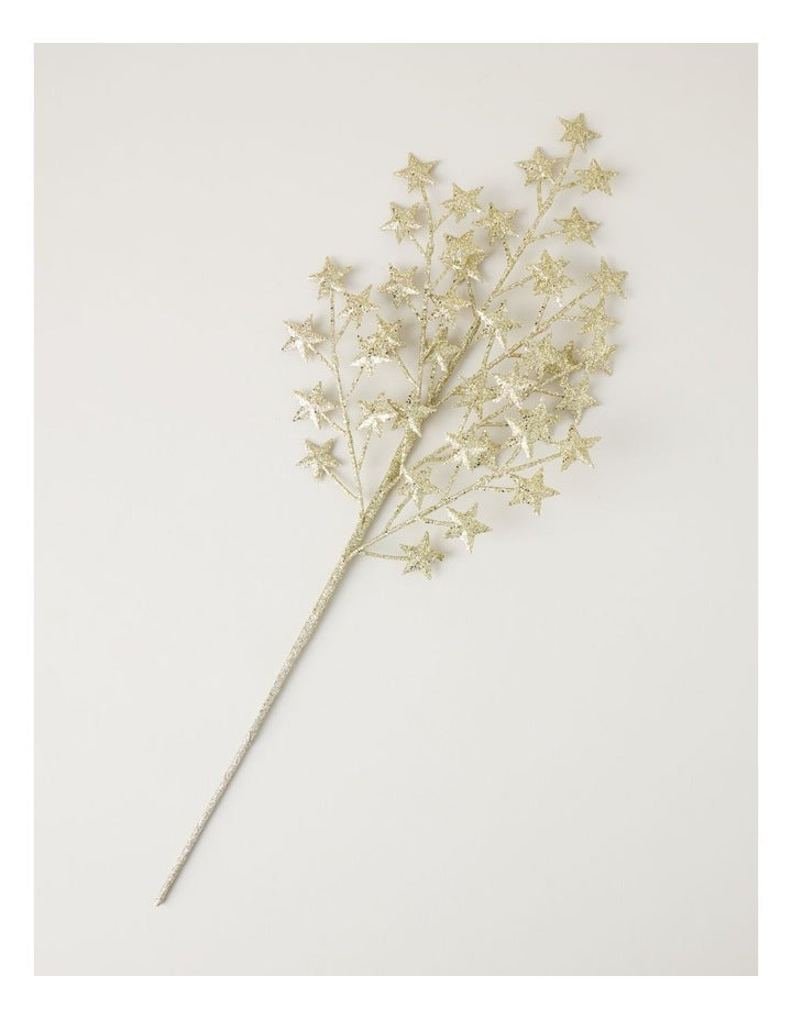 Heirloom Glitter Star Pick in Gold: 55cm