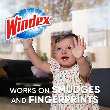 Windex Glass Cleaner Refill 750mL