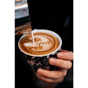 Vittoria Organic Coffee Beans 500g