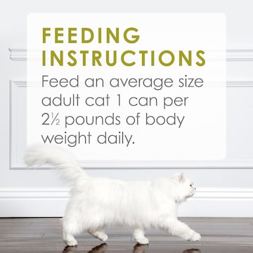 Fancy Feast Medleys White Meat Chicken Delicate Sauce Wet Cat Food 85g