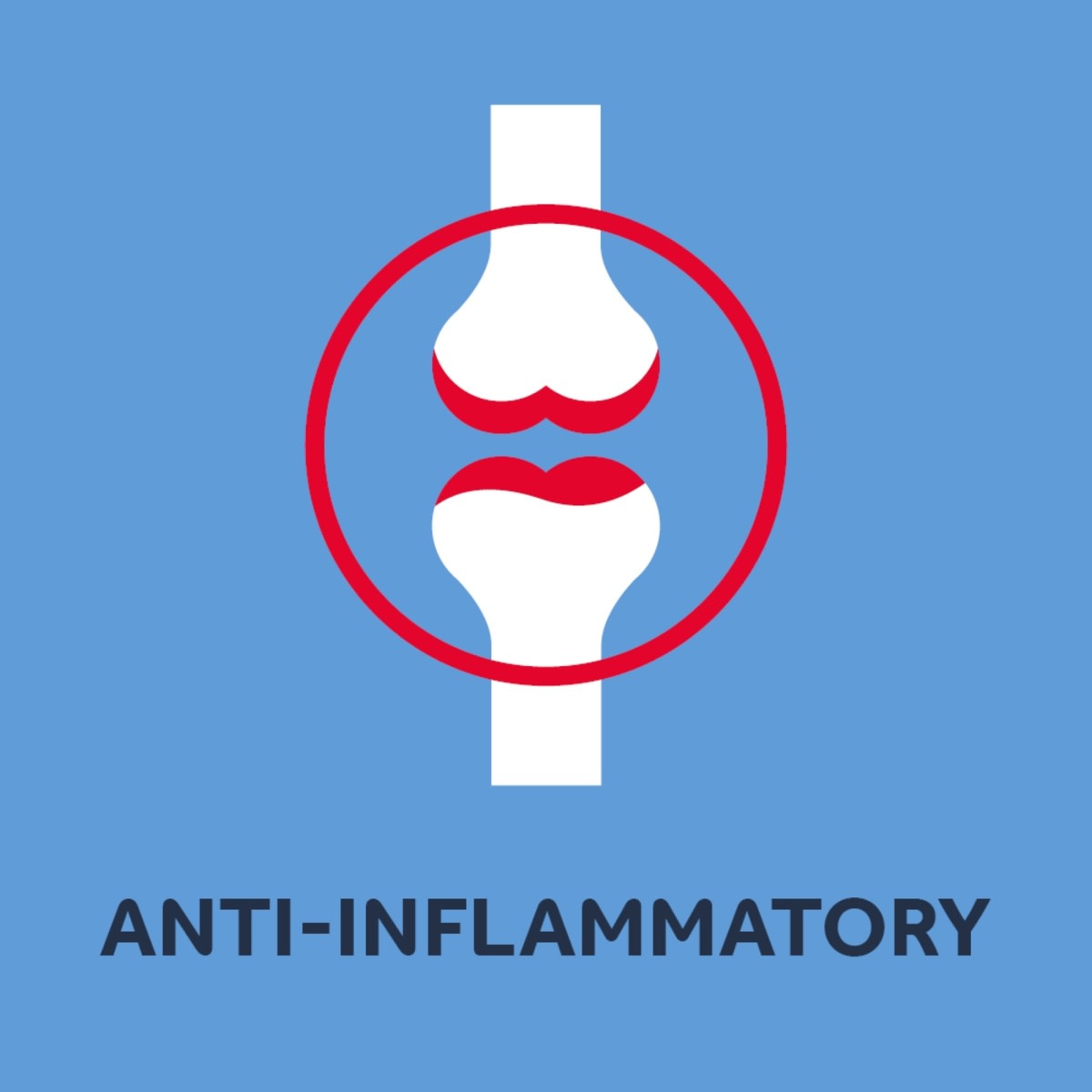 12 Pack Nurofen Ibuprofen 200mg tablets