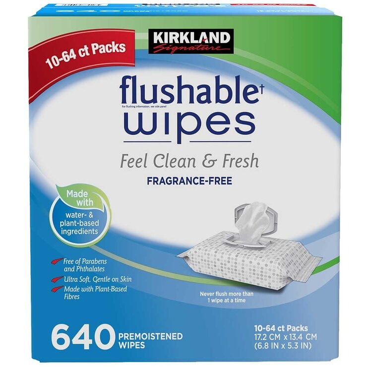 Kirkland Signature Flushable Wipes 2 x 640 Count
