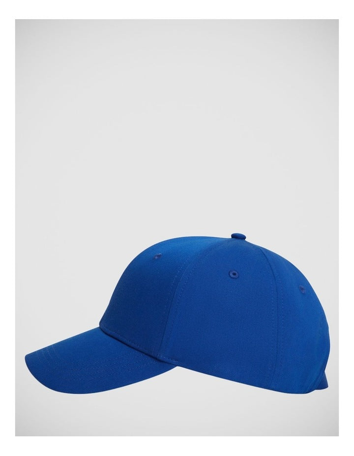 Hilfiger Flag Tonal Logo Baseball Cap in Blue