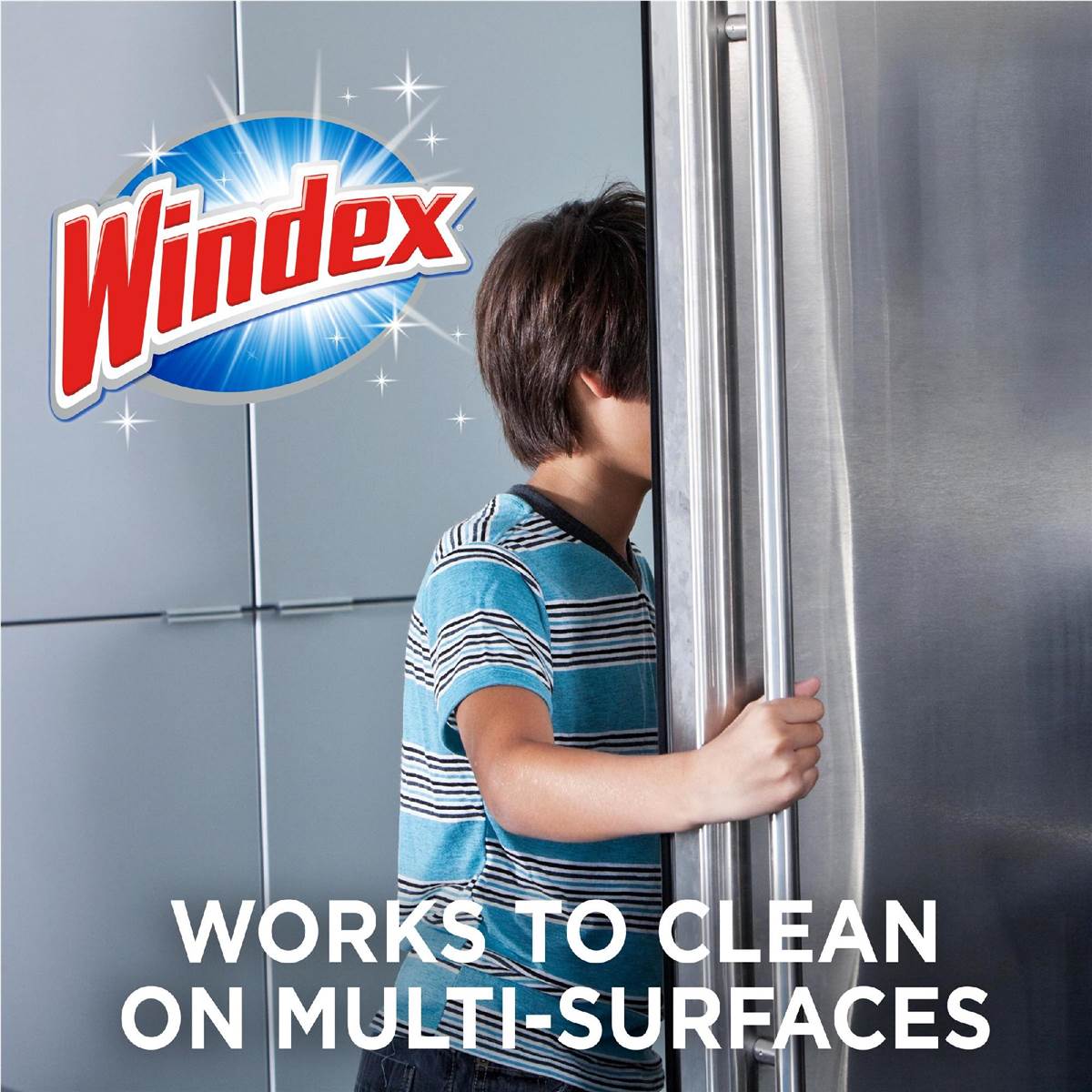 Windex Surface & Glass Multi-Purpose Cleaner Floral 750ml