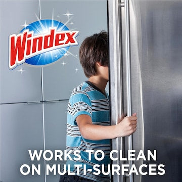 Windex Surface & Glass Multi-Purpose Cleaner Floral 750mL