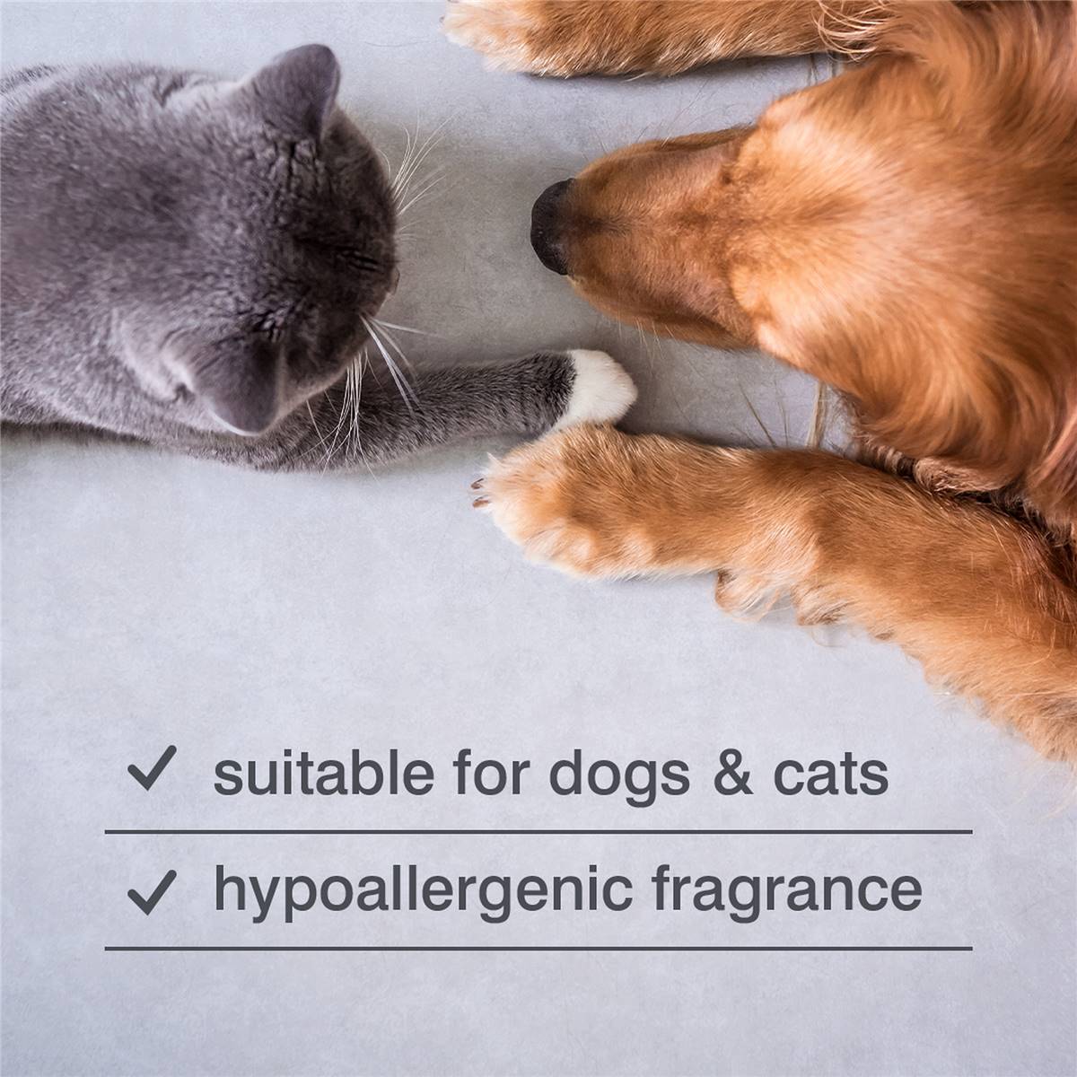 Rufus & Coco Itch Relief Dog Shampoo 200ml