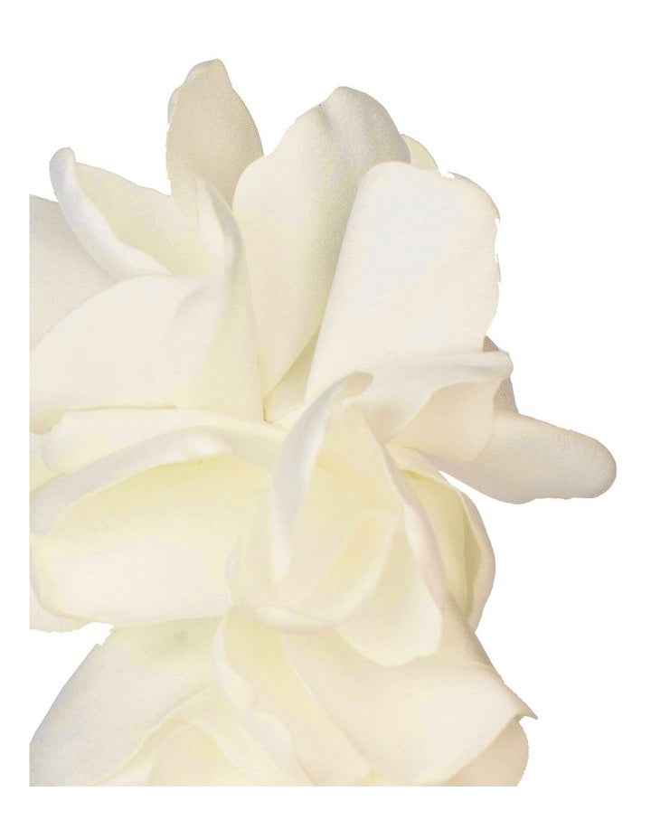 Gregory Ladner Ghrf213M Ivory Fascinator