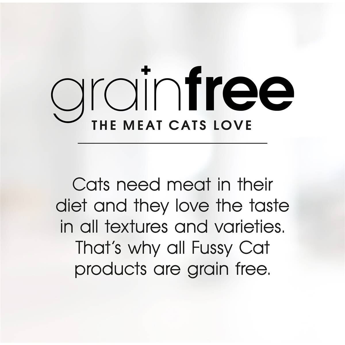 Fussy Cat Grain Free Meaty Mince & Chicken Gravy Kitten Wet Food 80g x 12 Pack