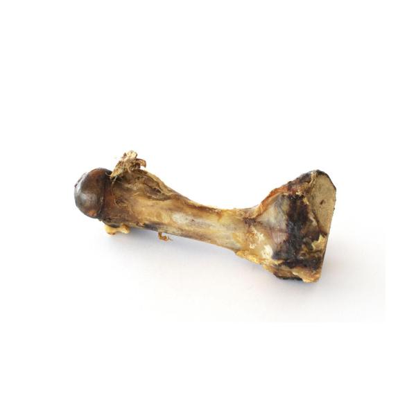 Pork Femur