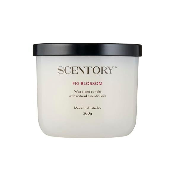 SCENTORY SOY BLEND DOUBLE WICKED CANDLE FIG BLOSSOM 1 PACK
