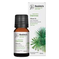Bosisto's Native Destination Daintree Essential Oil 10ml - GimmeNow