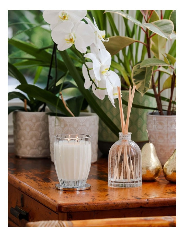 Coconut & Lime Large Soy Candle 370g