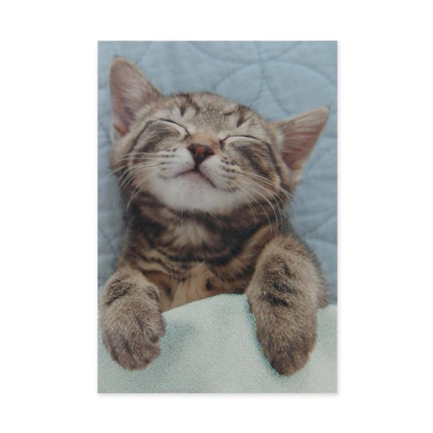 Connections from Hallmark Greeting Card - Sleepy Kitty, Warm Kitty