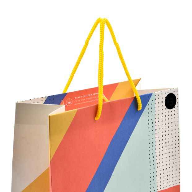 Hallmark Bold Pattern Gift Bag - Medium