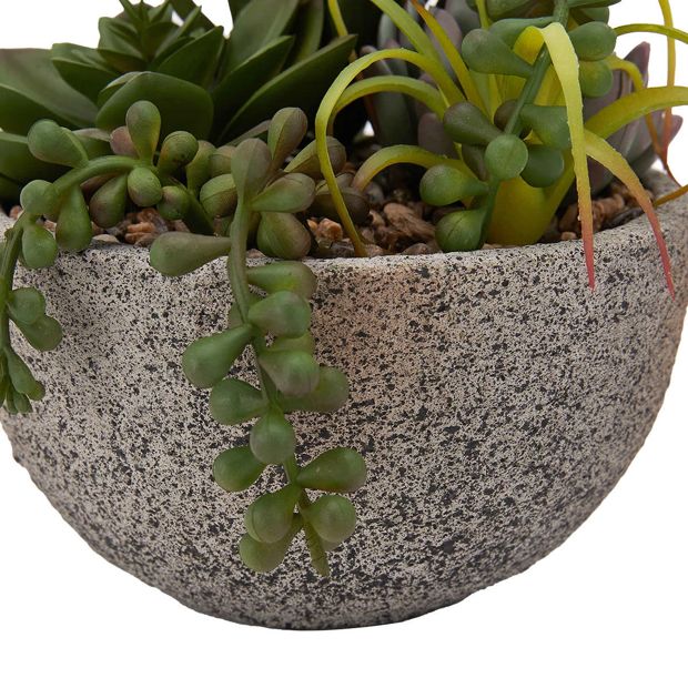 Artificial Succulents in Pot - Anko
