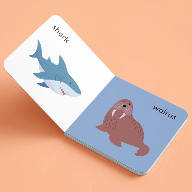 Jr. Explorers My First Words Learning Library Box Set