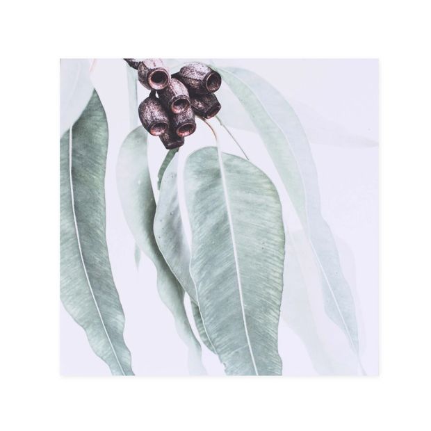 Hallmark x Donna Delaney Gallery Blank Greeting Card - Home Among The Gum Trees