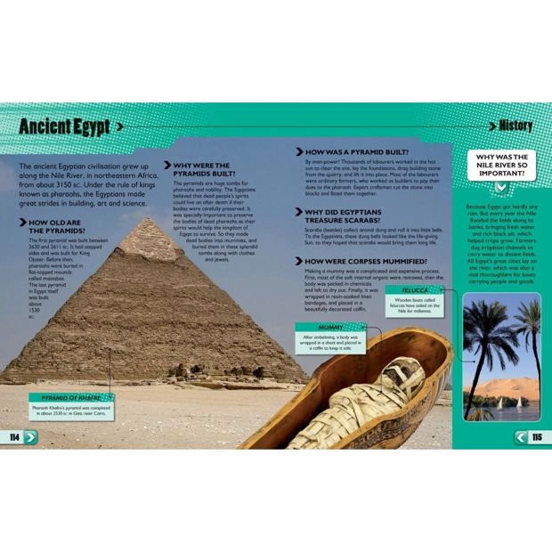 1001 Questions and Answers About Absolutely Everything