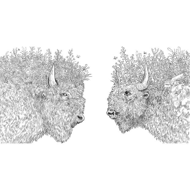 World of Colour: A Journey of Colouring Challenges by Kerby Rosanes - Book