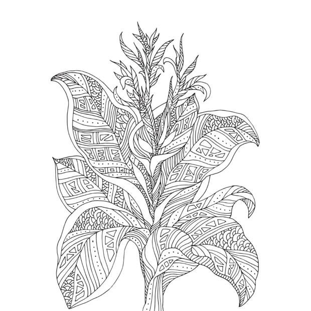 Colour-Your-Own Serenity Mindful Poster Art - Book