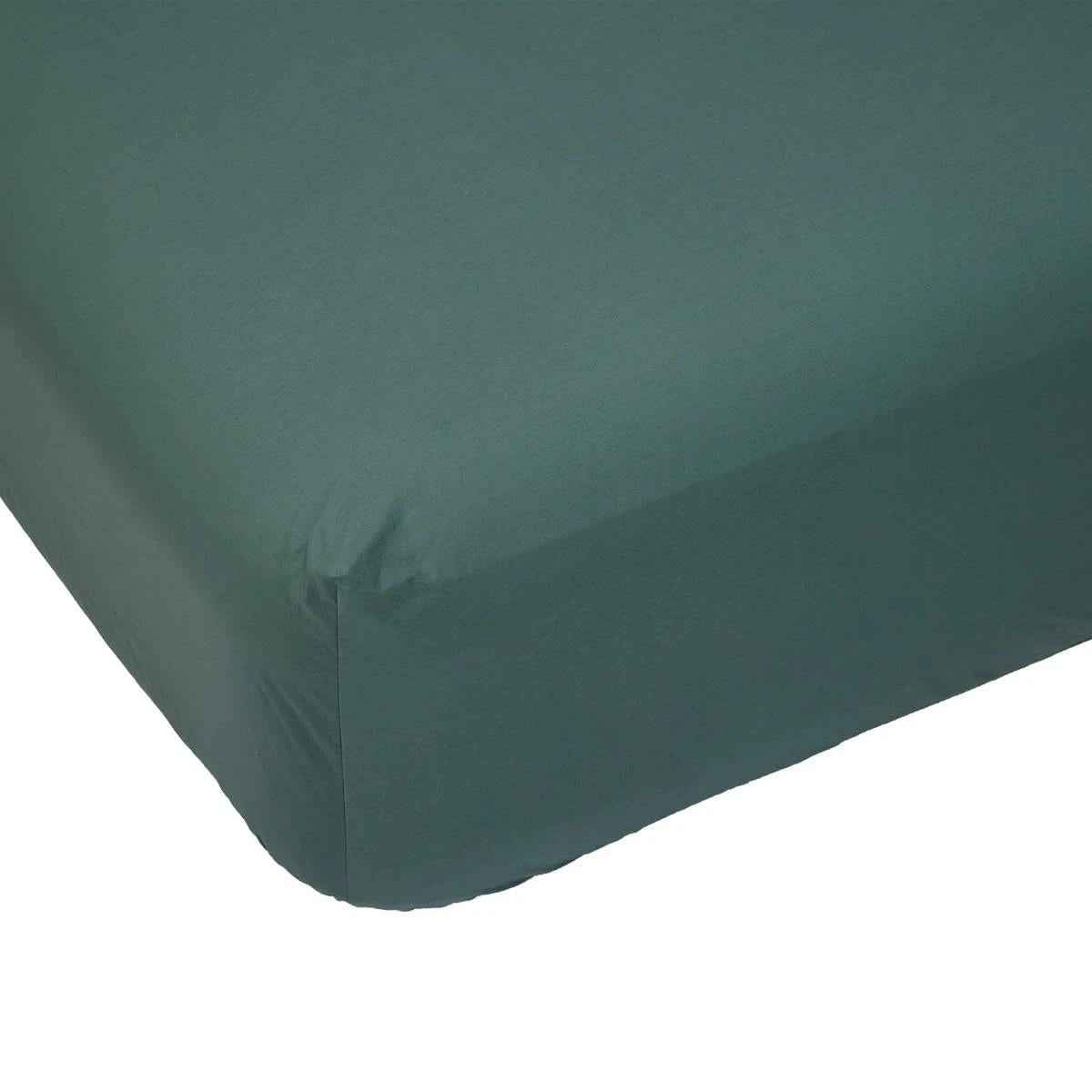 250 Thread Count Cotton Rich Fitted Sheet - Single Bed, Teal