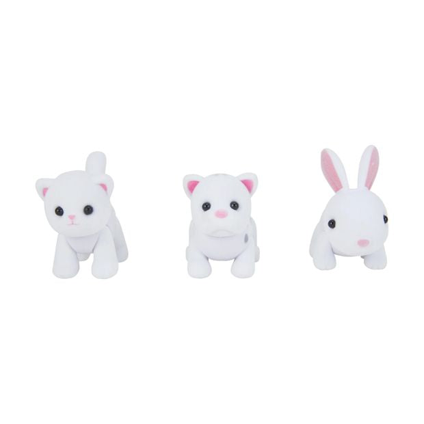 Colour and Wash Adopt a Pet, Assorted - Anko