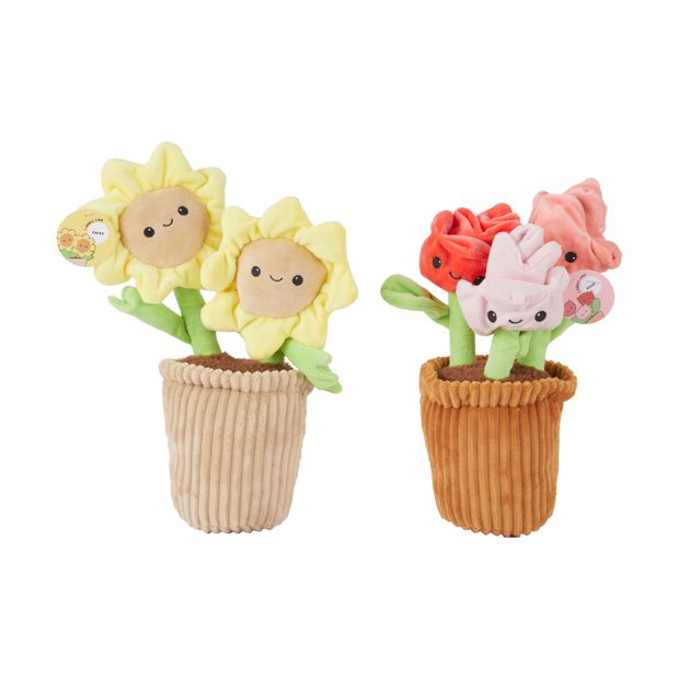 Scented Flower Plush, Assorted - Anko