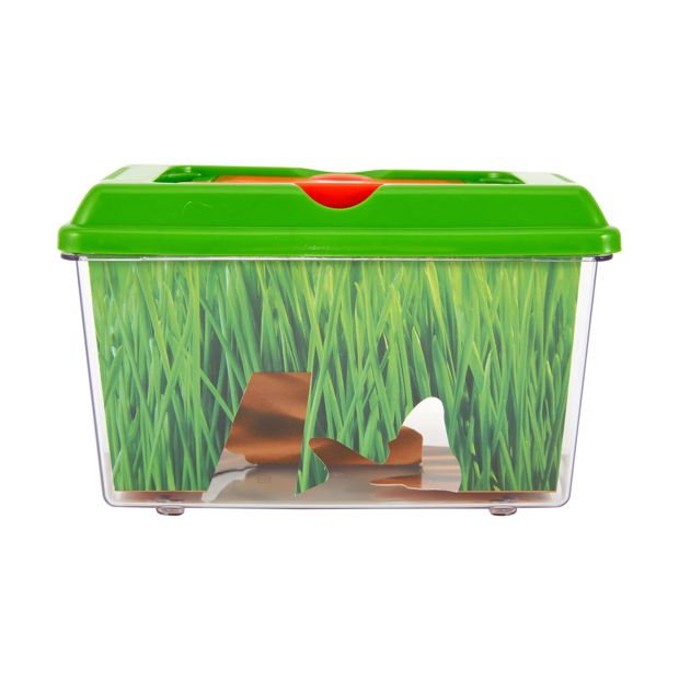Bug Explorer Activity Set - Anko