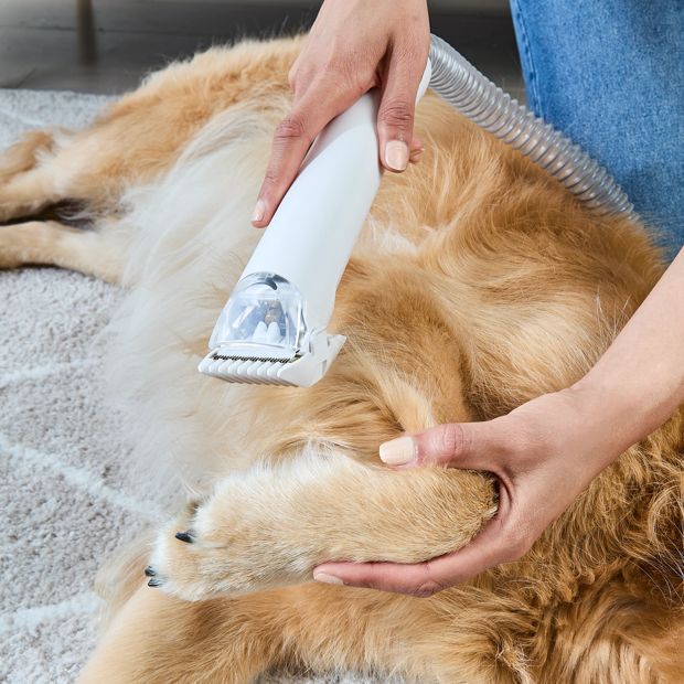 Pet Vacuum and Grooming Kit - Anko