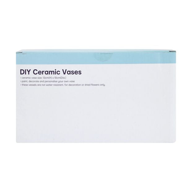 DIY Ceramic Vases - Anko