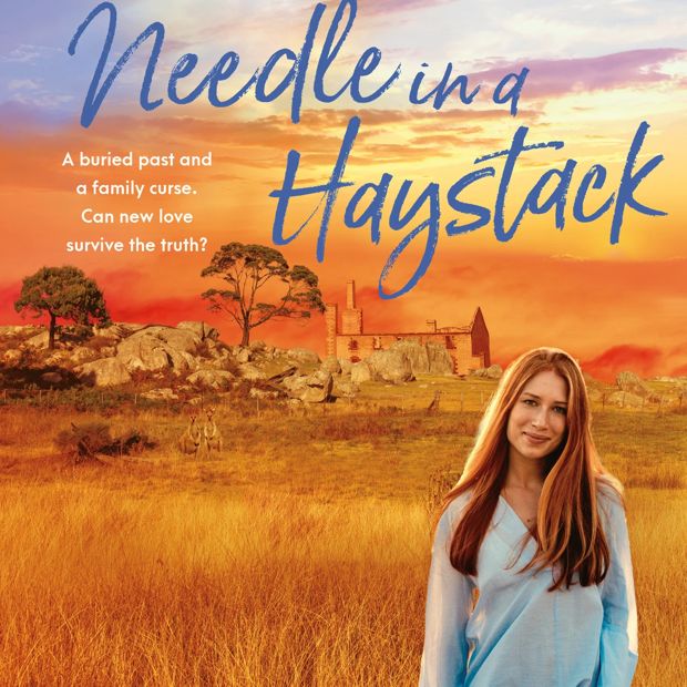 Needle in a Haystack by Karly Lane - Book