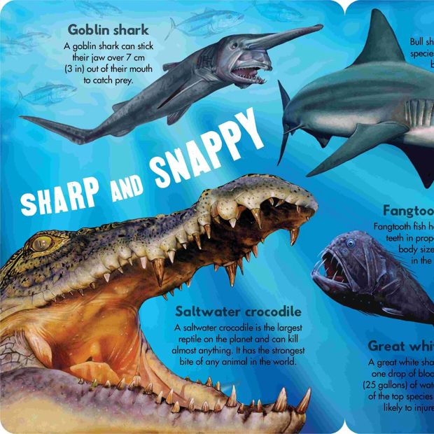 Dangerous Animals by Garry Fleming - Sound Book