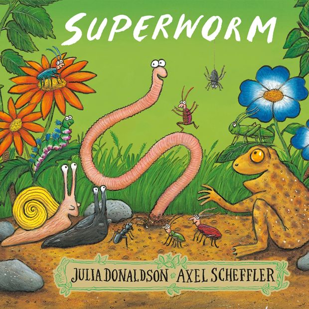 Superworm by Julia Donaldson - Book