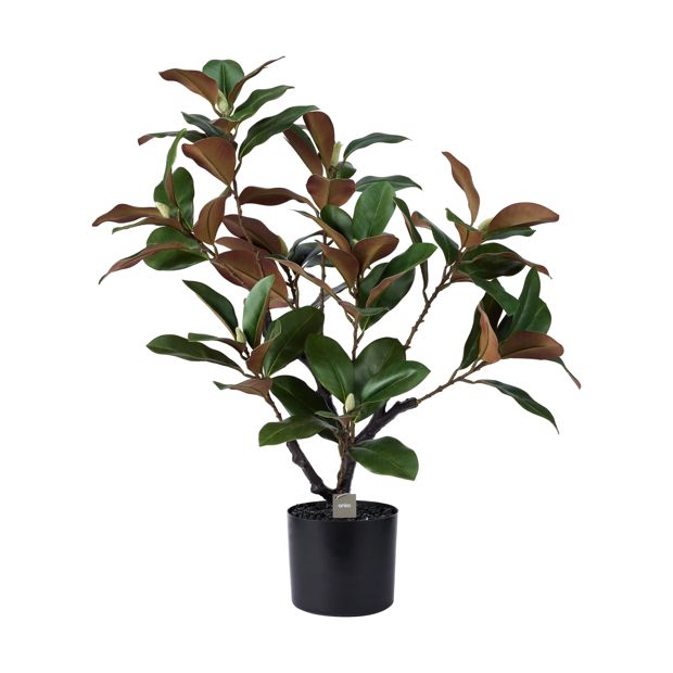 Artificial Magnolia Tree - Anko