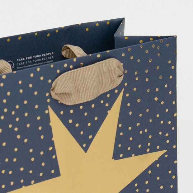 Hallmark Festive Gift Bag - Small